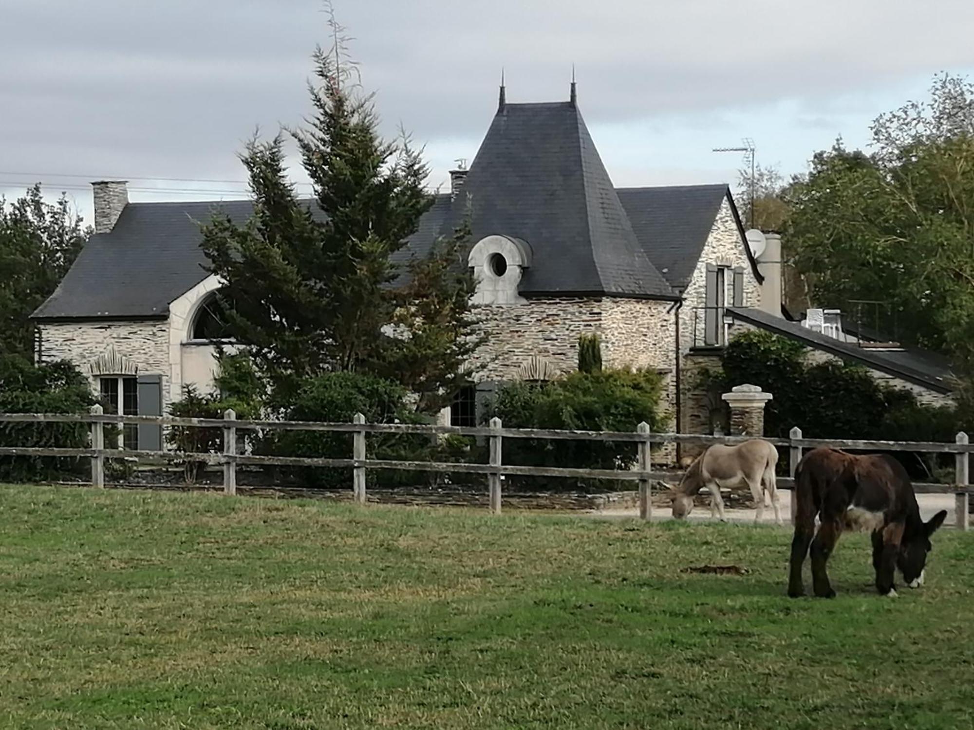 Hotel Gite Belle Fontaine Angrie Exterior foto